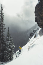 Team Wendy M-216 - w/ Princeton Tec Light & Superior Ventilation - Professional Ski Helmet
