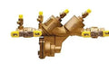 2-1/2" Reduced Pressure BFL Low Flow Fire System