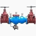 10" Wilkins Os and Y Grooved X Grooved Valve
