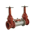 2-1/2" 2000SS DOSY GXG Stainless Steel Backflow Preventer