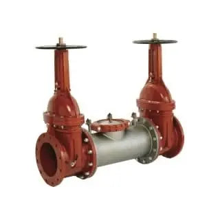 2-1/2" 2000SS DOSY GXG Stainless Steel Backflow Preventer