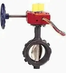 Nibco 2 Inch Wafer Butterfly Valve With Switches