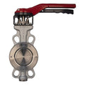 Butterfly Valve,3",PTFE