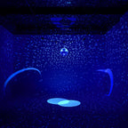 Yescom 16in Shiny Disco Ball with Motor, 8 RGB Lights for Event Party