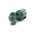 Circulator Pump, 1/12, 115V, Flange Connection
