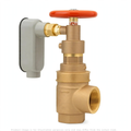 2" Reduced Pressure Valve Tamper Shutoff for Safety Systems
