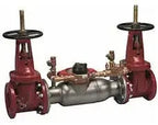 Watts Series 3000SS Double Check Detector Assembly for Fire Protection Systems