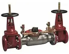 Watts Series 3000SS Double Check Detector Assembly for Fire Protection Systems