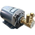 RotVanePmp,3/8"Dia,Brass,105 gph,1/3 hp