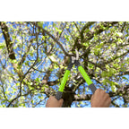 Bloom Lopper/Pruner Combo 4879BL