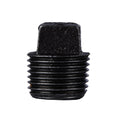 1/2 in. Prefinished Matte Black Plug