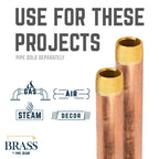 3/4 in. x 4 in. Red Brass Pipe