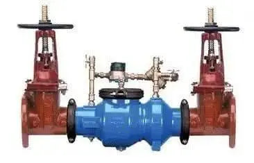 Double Check Detector Assembly with OS&Y Valves