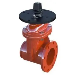 3" Epoxy Coated Flanged Flange for Fire Protection Systems