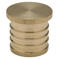 Plug, Brass, Barbed 1 1/4 in