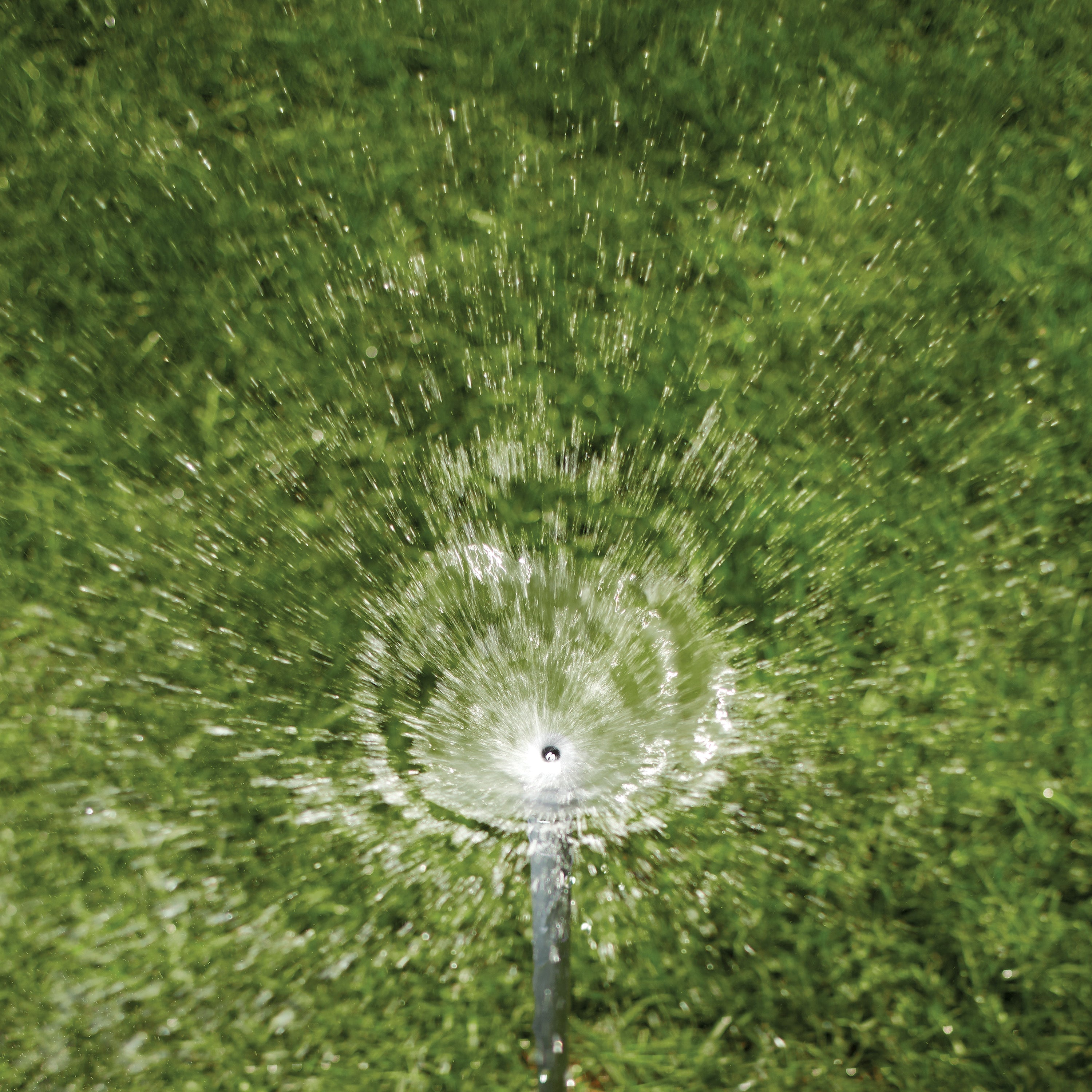 Shrub Head w/Full Pattern Insert Nozzle | 54009