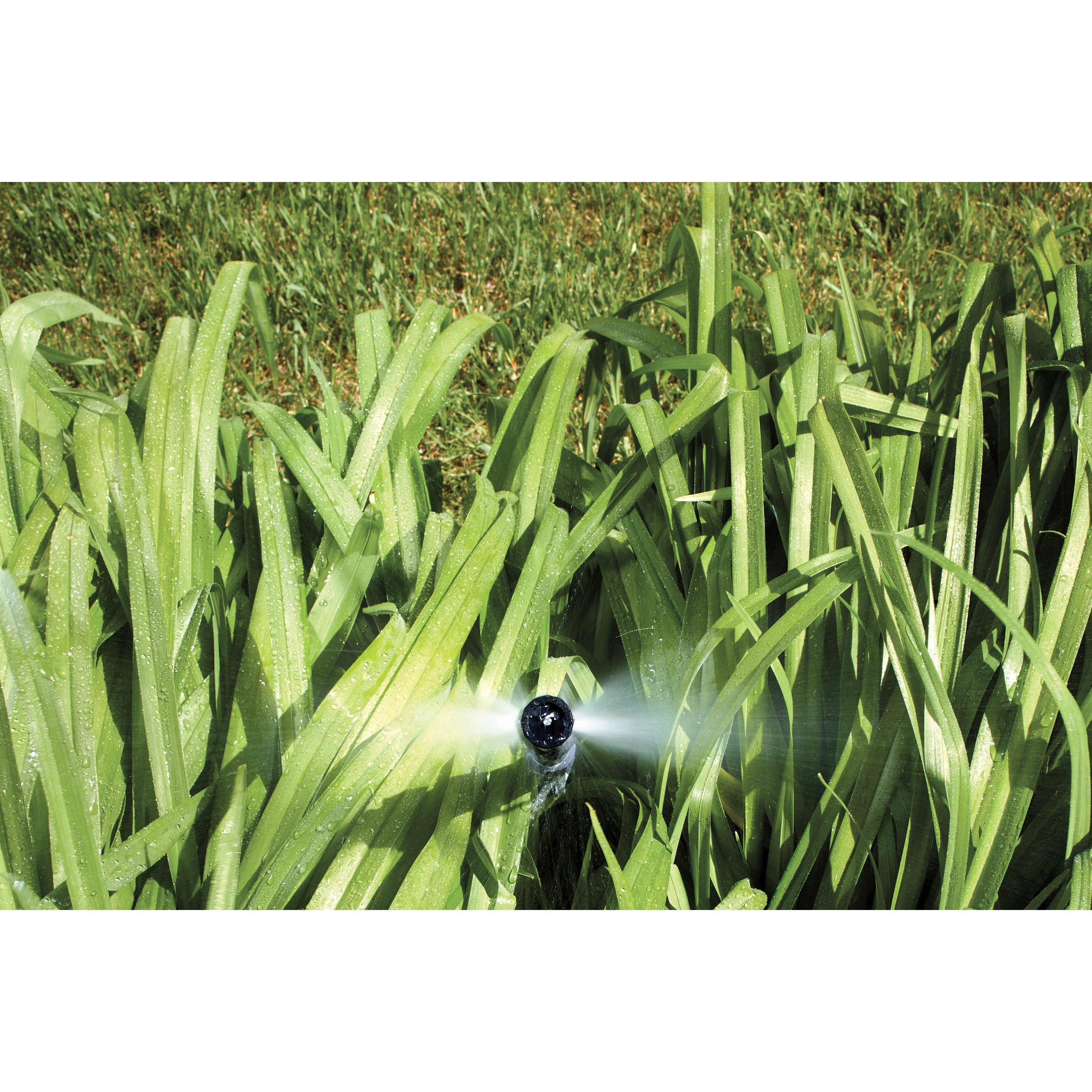 Shrub Head w/Ctr Strip Pattern Insert Nozzle | 54013