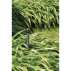 Shrub Head w/Brass Full Pattern Insert Nozzle | 54038