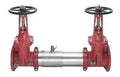 6" Double Check Assembly Backflow Preventor Valve by Ames for Fire Protection Systems