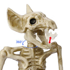 Yescom Halloween Decoration Animal Skeletons Options