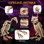 Yescom Halloween Decoration Animal Skeletons Options