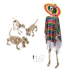 Yescom 5.6Ft Halloween Posable Skeletons & Animal Skeleton Combo