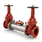 6" 2000SS DOSY GXG Backflow Preventer Valve by Ames