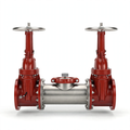 6" 2000SS DOSY GXG Backflow Preventer Valve by Ames