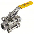 Manual 2-Way Ball Valve,NPT,316 SS