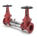6" Double Check Assembly With FxG OSY by Ames Valve