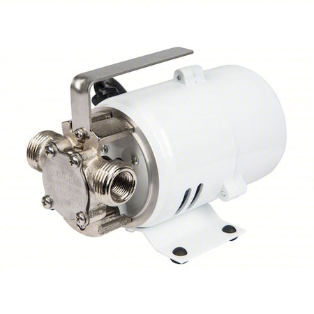 Utility Pump, 6 ft, 12V DC