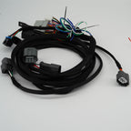 K20 K24 K-Swap Conversion Wiring Harness EG Civic DC2 Integra 92-00 Honda Acura