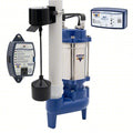 SewageEjectorPump,10ft,0.4hp,115VAC