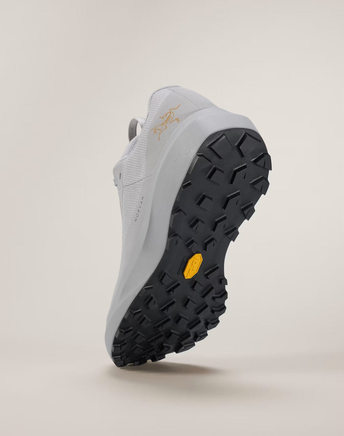 Arc'teryx Norvan LD 4 GTX Shoe Women's