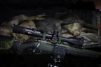 iRay Bolt TL35 V2 - 3-12 LPVO - Thermal Rifle Scope