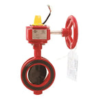 AMES C-500 Fire Protection Valve for Sprinkler Systems