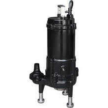 Load image into Gallery viewer, Tiger WS-GD-20-3-60 Grinder Pump 2532 GPH Max head 82 ft, 2HP - 1 1/4&quot; - 460V -  3PH