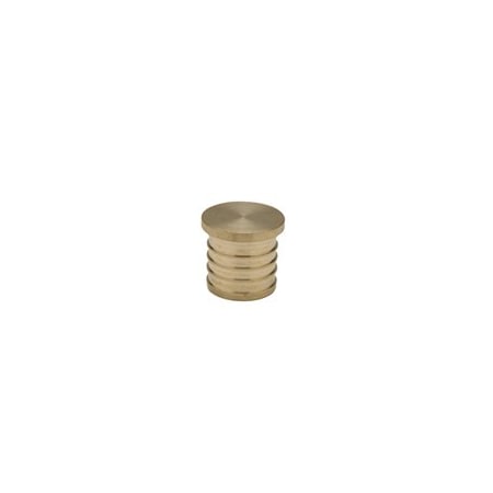 Plug, Brass, Barbed 2 in