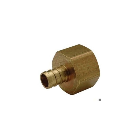 Straight, Brass, Barbed 1/2", FNPT 1/2"