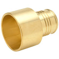 Strt, Brass, Cup 1 1/4", Barbed 1 1/4"