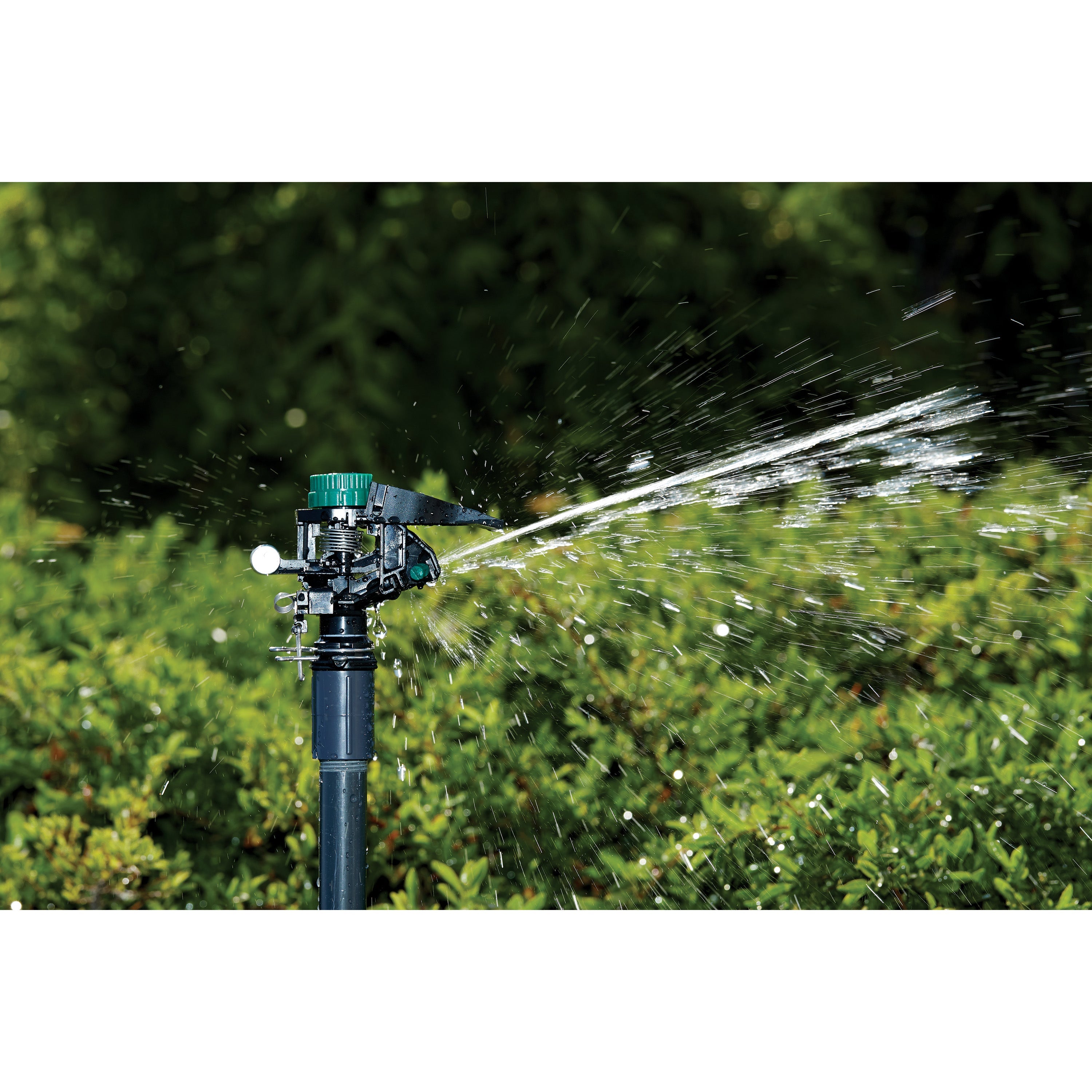 1/2-in. MPT Impact Sprinkler Head with Weighted Arm 55024