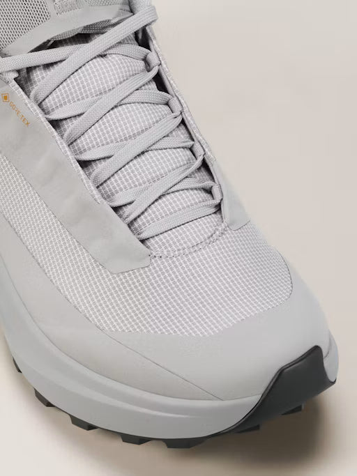 Arc'teryx Norvan LD 4 GTX Shoe Women's