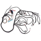 98 - 03 Vortec 4.8 5.3 6.0 Standalone Multec Wiring Harness W/4L60E (DBC) 🇺🇸US