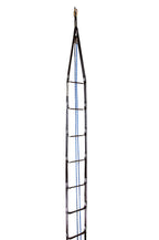 Frontline RLA18B Rescue 18' Ladder Kit with Pulley System