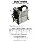 K19 Plate Carrier (Gen 3)