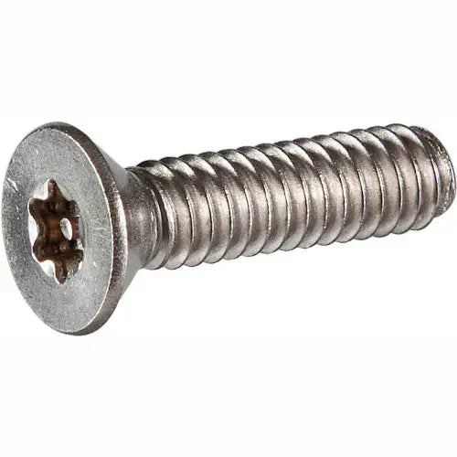 Tamper Proof Screw