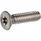 Tamper Proof Screw