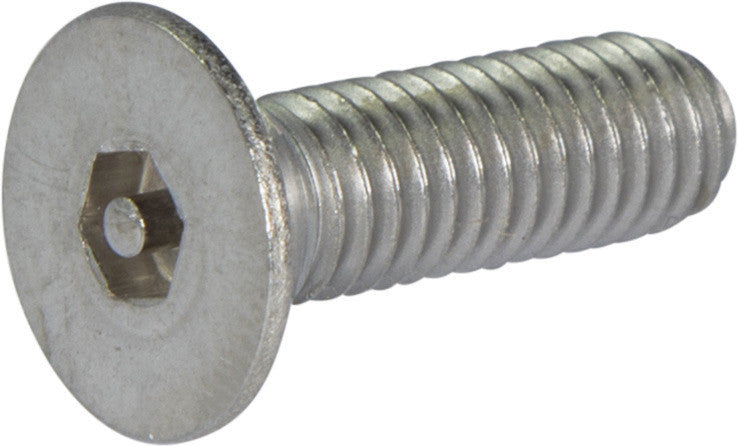 M6-1.00 x 20 Tamper Resistant Hex Flat Head Machine Screw 18-8 Stainless Steel - Metric (5/32)