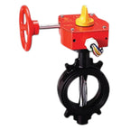 Viking XBFV Butterfly Valve 2" to 12" Flow Control