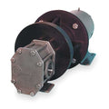 Rotary Gear Pump,1 1/2 HP,3 Phase
